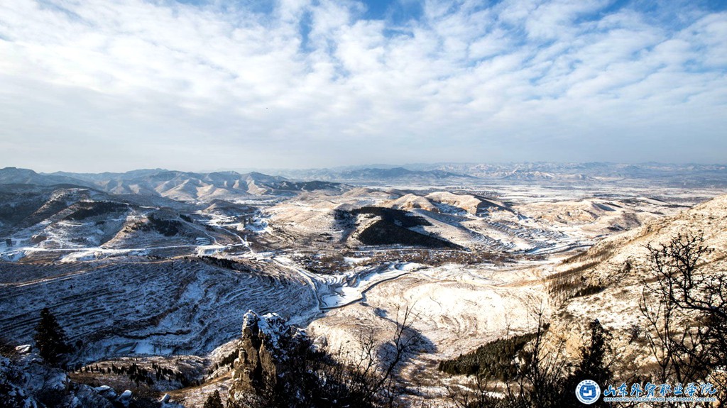 胡山雪景——马晓阳.jpg